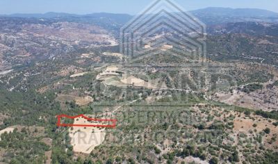  Land in Paphos