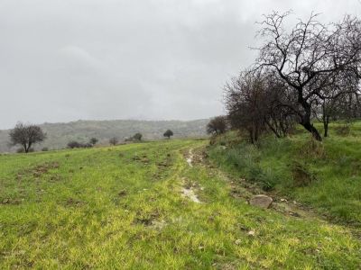  Land in Paphos