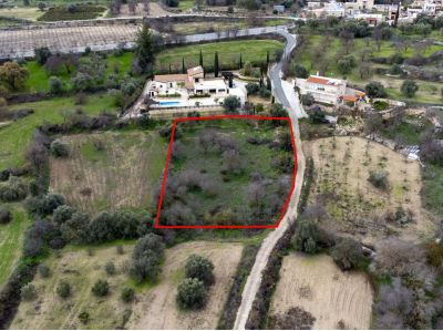  Land in Paphos
