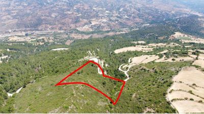  Land in Paphos