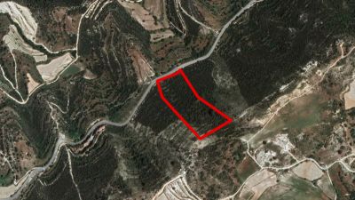  Land in Paphos