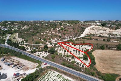  Land in Paphos