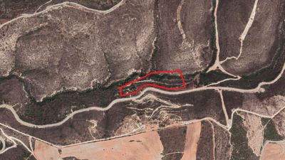  Land in Paphos