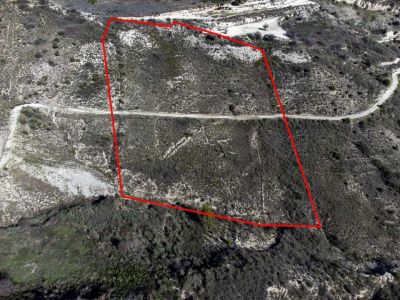  Land in Paphos