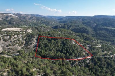  Land in Paphos