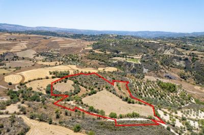  Land in Paphos