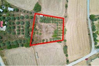  Land in Nicosia