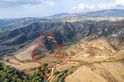  Land in Paphos