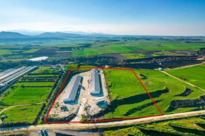  Land in Nicosia