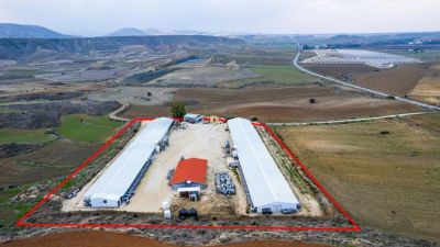  Land in Nicosia