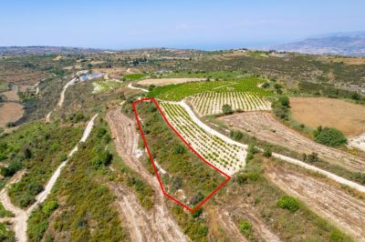  Land in Paphos